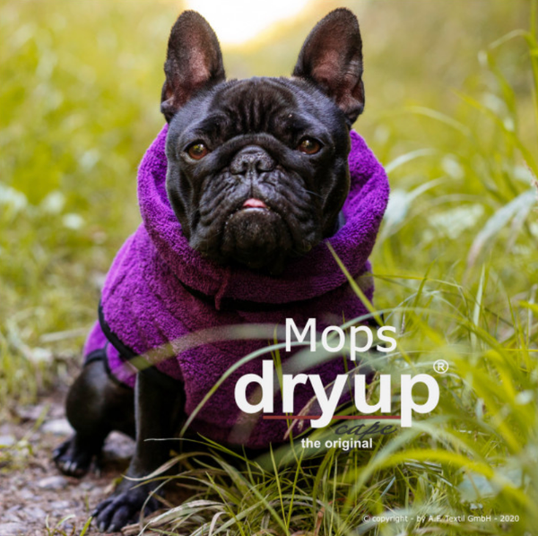 DRYUP CAPE MOPS & CO