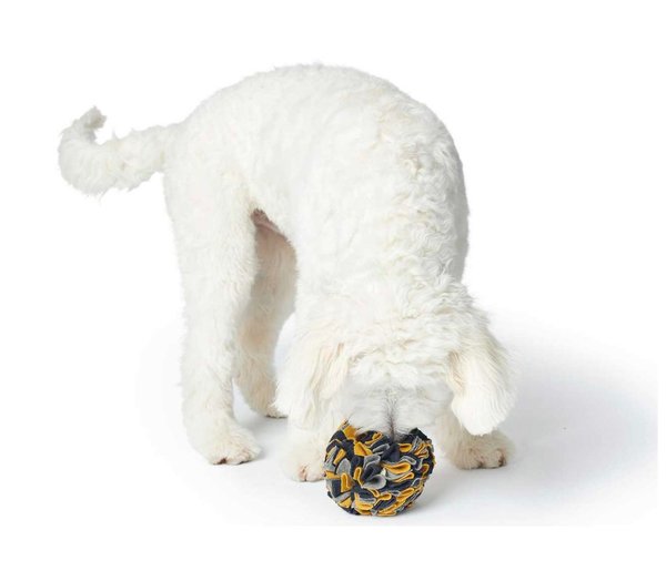 Hunter Hundespielzeug Schnuffelball Eiby ⌀ 15 cm